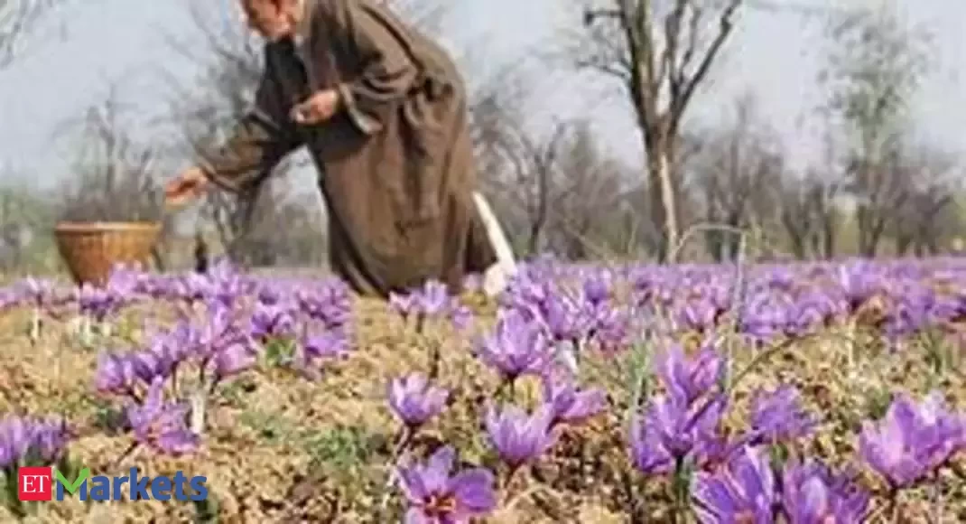 Kishtwari Shahi Saffron banner